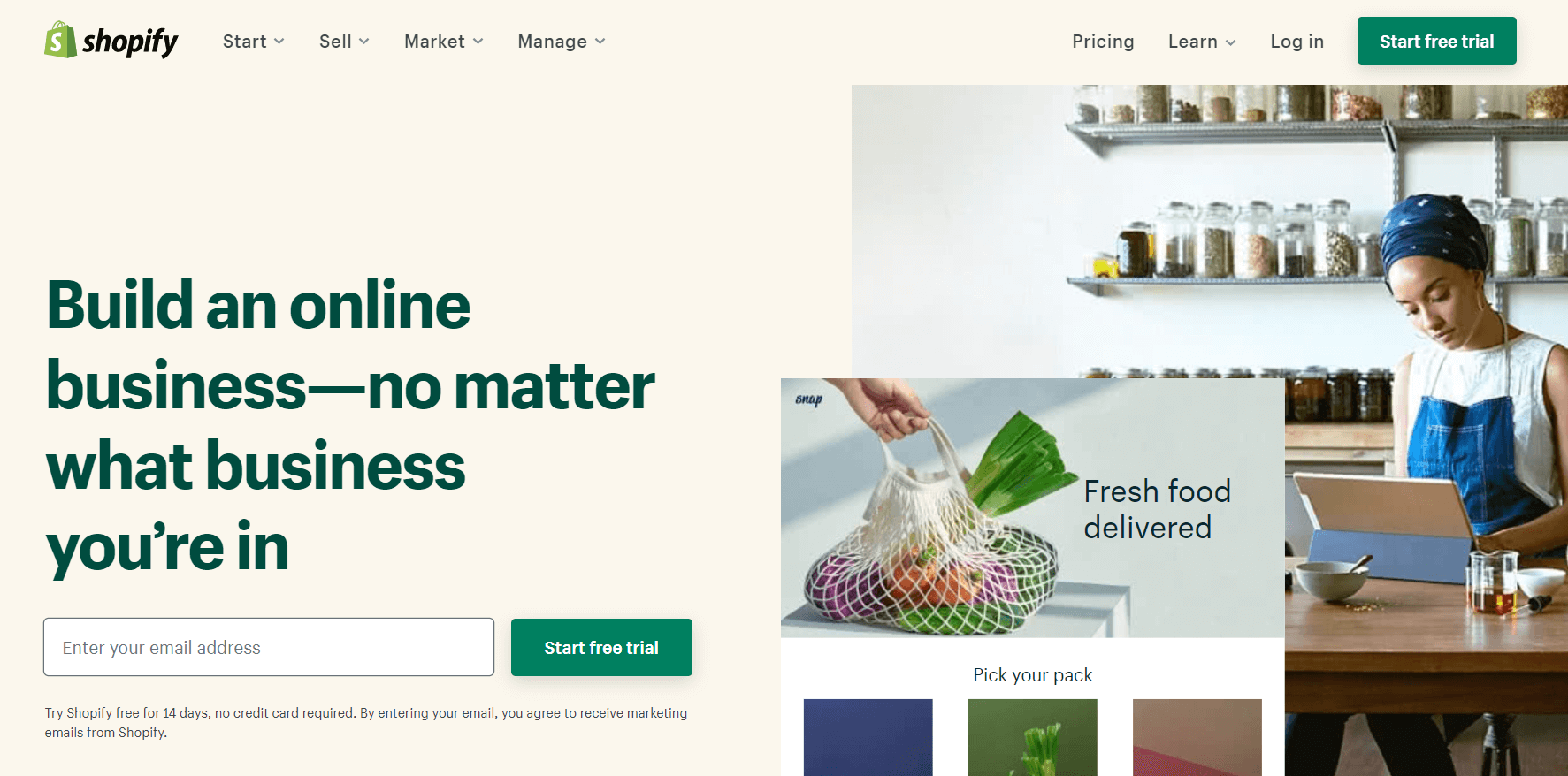shopify online store