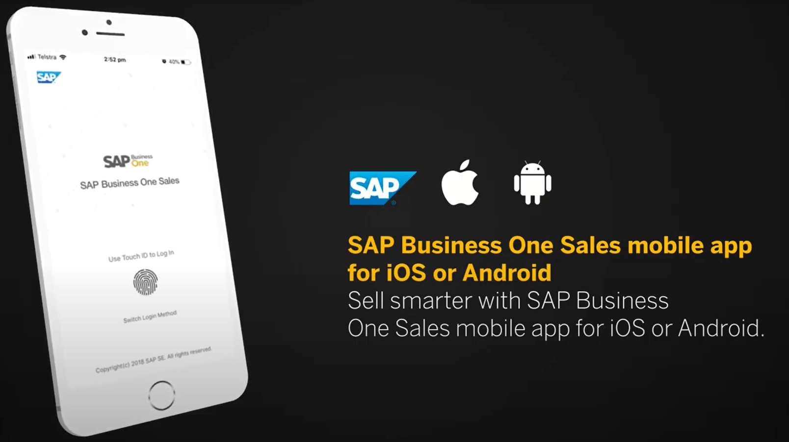 SAP B1 Mobility Features