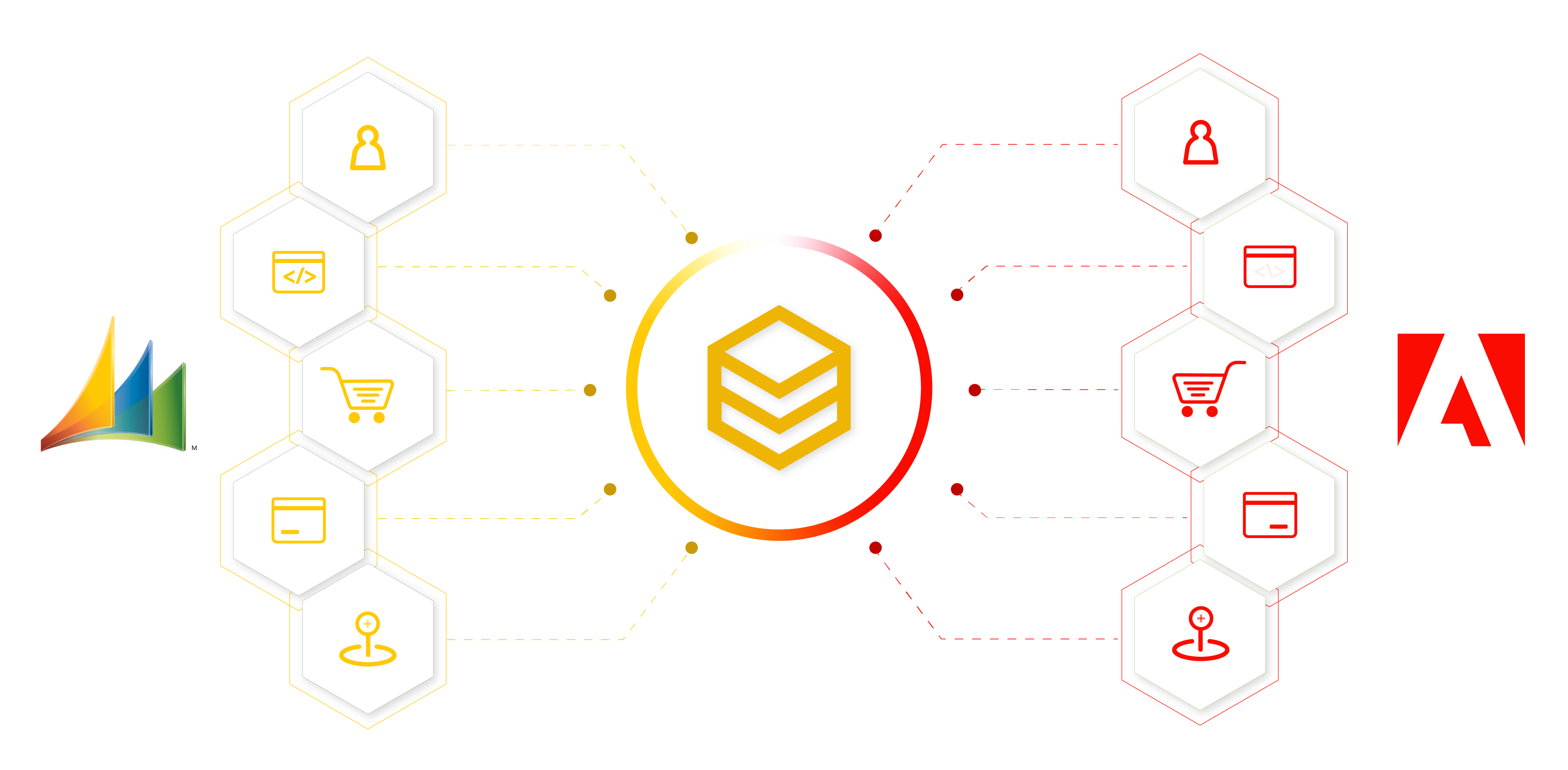 beehexa dynamic ax adobe