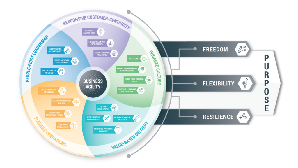 The Domains of Business Agility